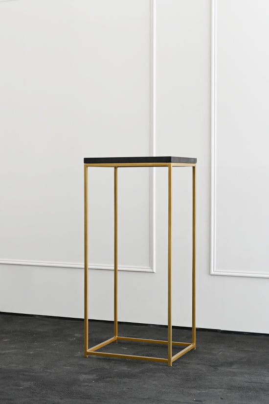Gold Metal Frame Plinths